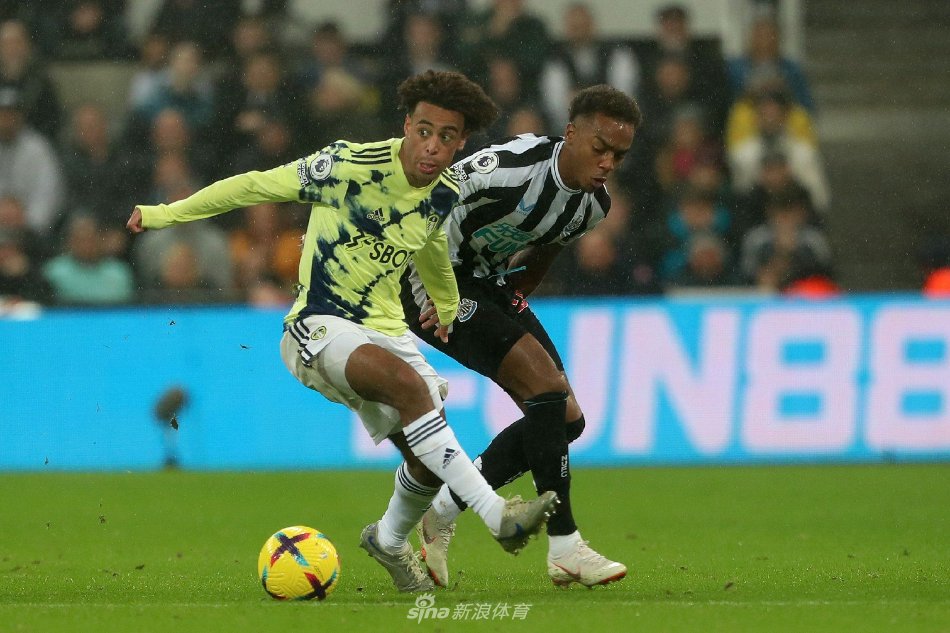 这些关键词 这些关键词