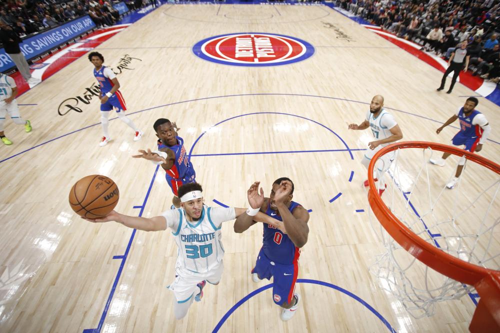 大量引进科 大量引进科